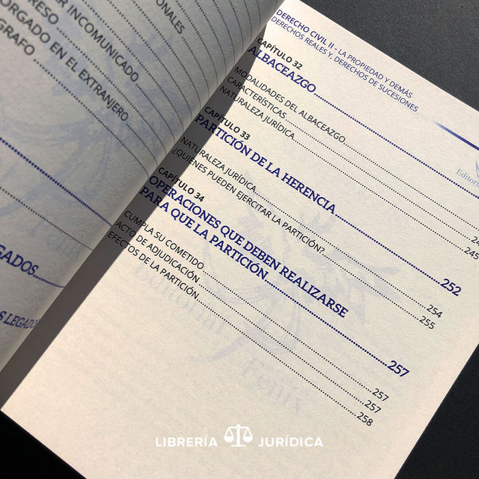 Derecho Civil II La Propiedad y demás Derechos Reales y Derecho de Sucesiones