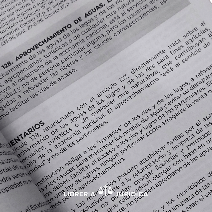 Constitución Política de la República Comentada 2024