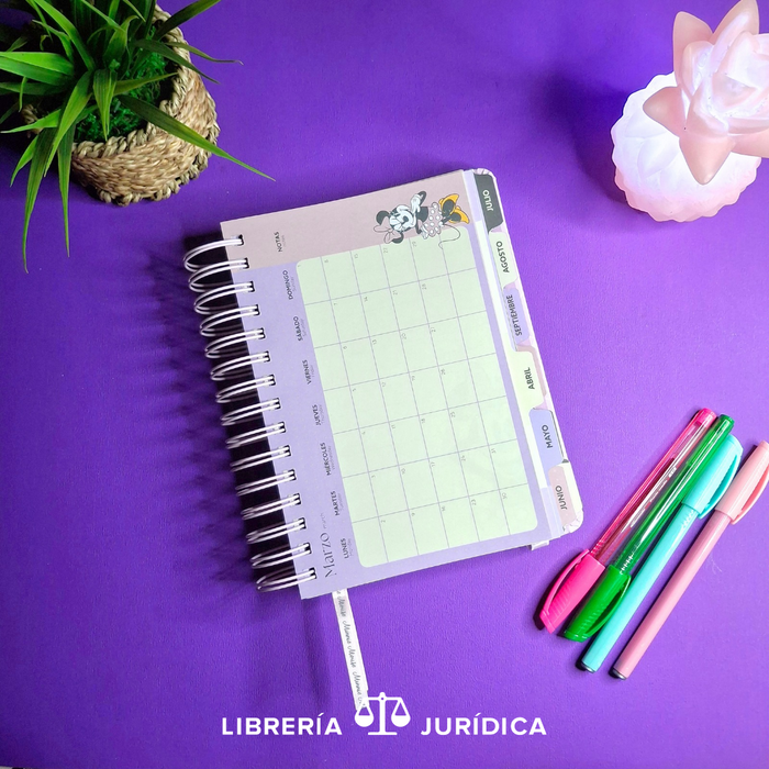 Agenda Minnie Mouse 2026