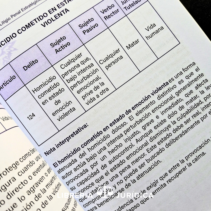 Litigio Penal Estratégico de la Teoría a la Práctica