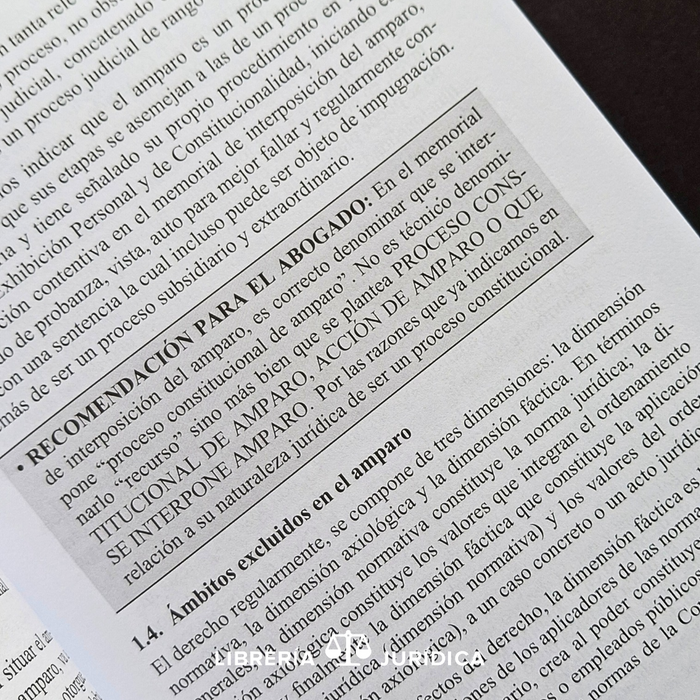 El Proceso Constitucional de Amparo