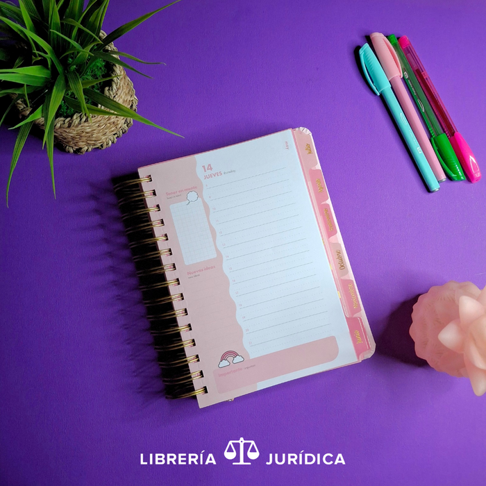 Agenda Hello Kitty 2026