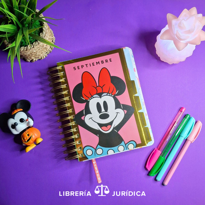 Agenda Mickey y Amigos 2026