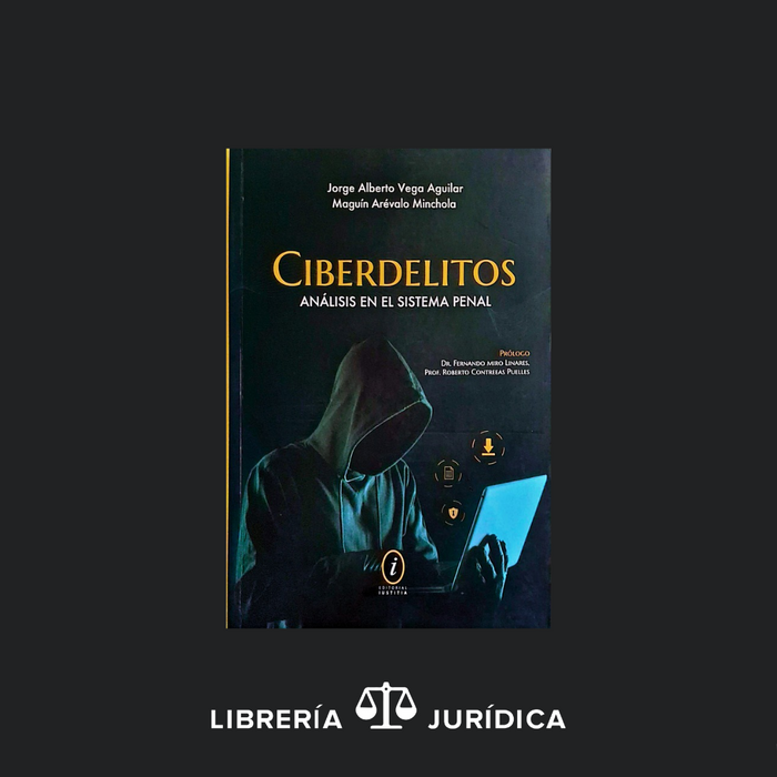 Ciberdelitos Análisis en el Sistema Penal