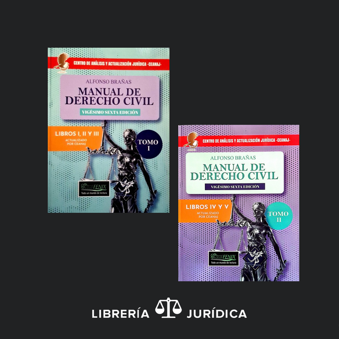 Manual de Derecho Civil (Libros I, II, III y IV)