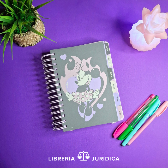 Agenda Minnie Mouse 2026