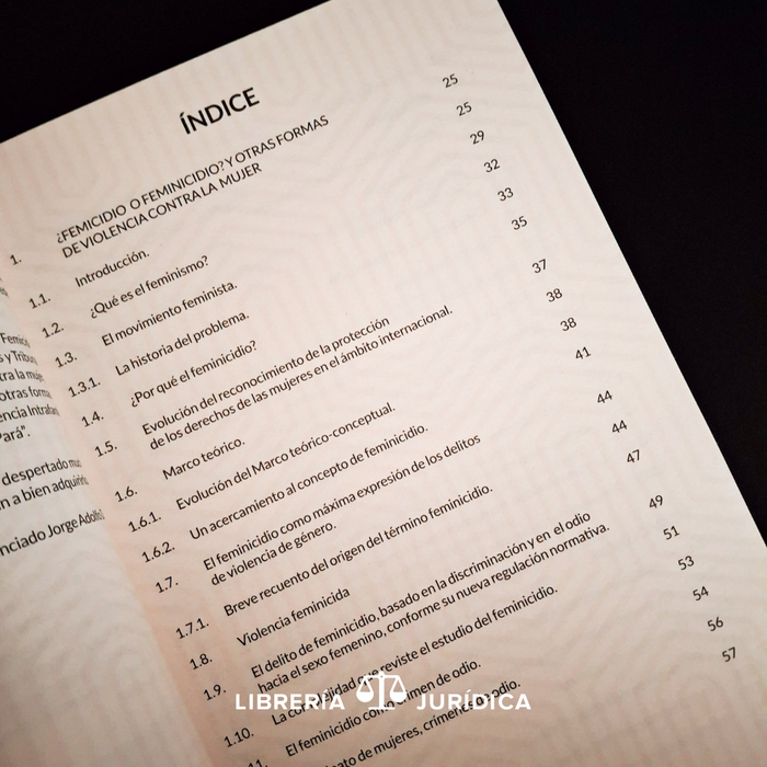 ¿Femicidio o Feminicidio? Y Otras Formas de Violencia Contra la Mujer