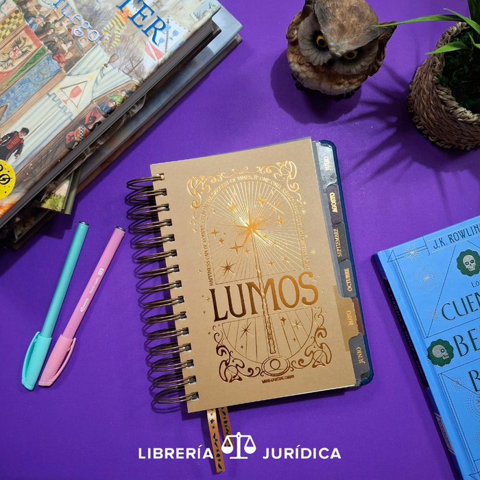 Agenda Harry Potter 2026