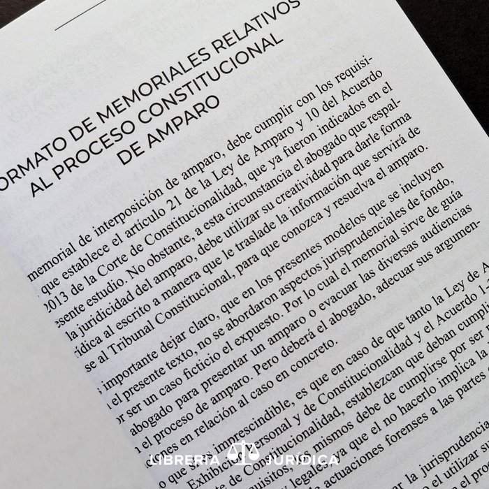 El Proceso Constitucional de Amparo