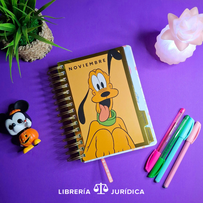 Agenda Mickey y Amigos 2026