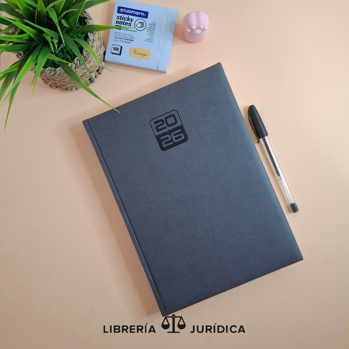 Agenda Presidente VINCI 2026