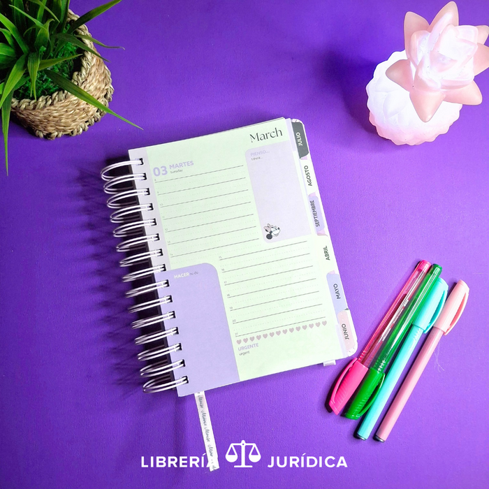 Agenda Minnie Mouse 2026