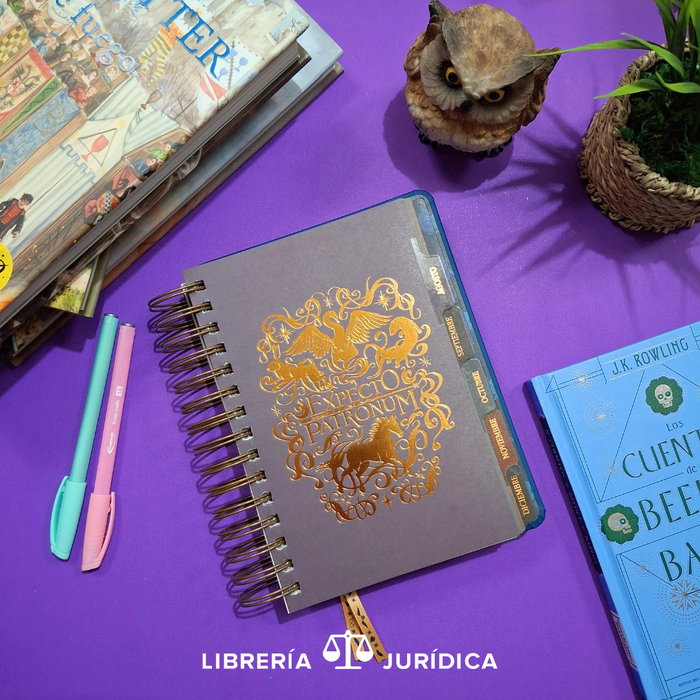 Agenda Harry Potter 2026