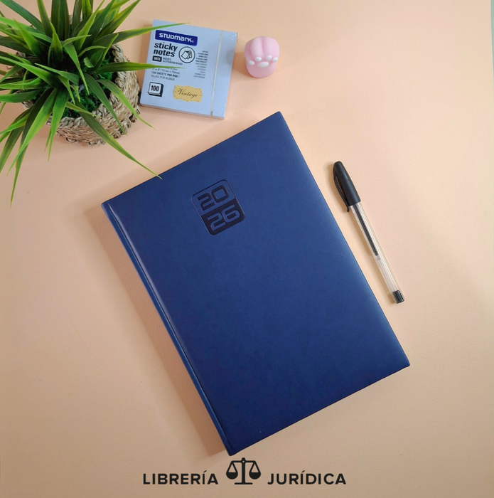 Agenda Presidente VINCI 2026