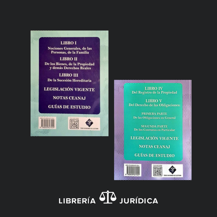 Manual de Derecho Civil (Libros I, II, III y IV)