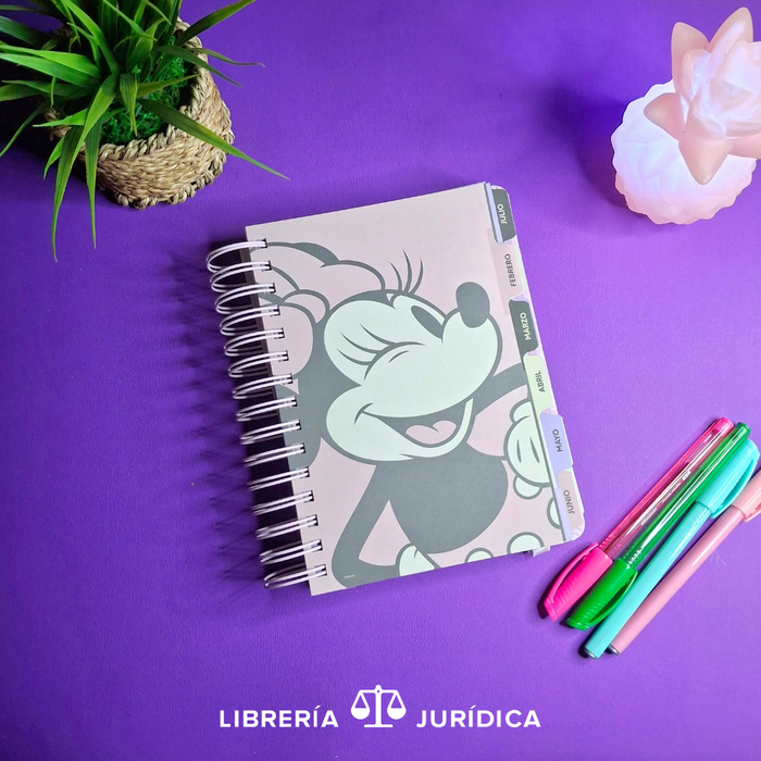 Agenda Minnie Mouse 2026