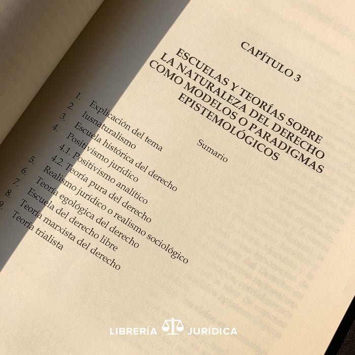 Temas de Introducción al Estudio del Derecho y de Teoría General del Derecho - Libreria Juridica 