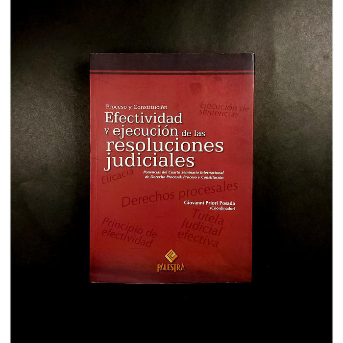 Efectividad y Ejecución de las Resoluciones Judiciales  (Proceso y Constitución)